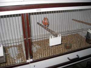besg hos karl aage 050r
